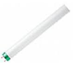 Fluorescent Lamps